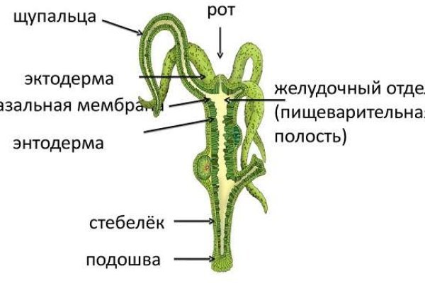 Кракен что это за маркетплейс