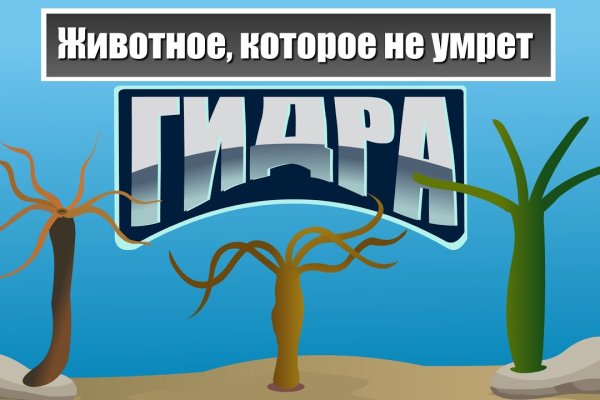 Kraken рабочее зеркало