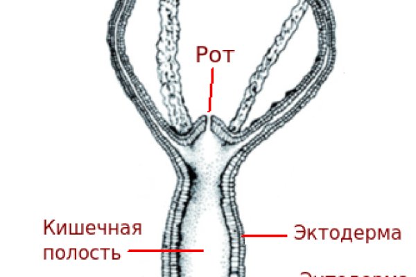 Кракен ссылка онион зеркало