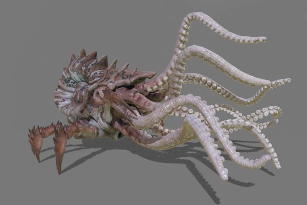 Ссылка на kraken торговая площадка