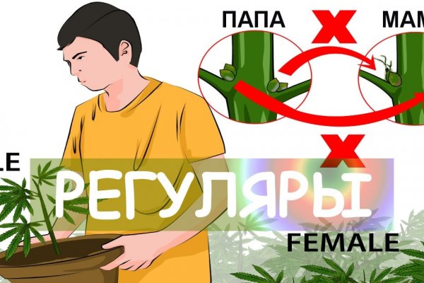 Кракен что там продают