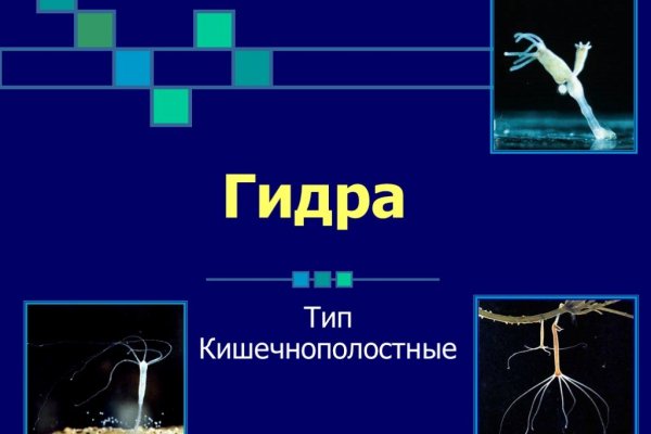 Восстановить аккаунт кракен