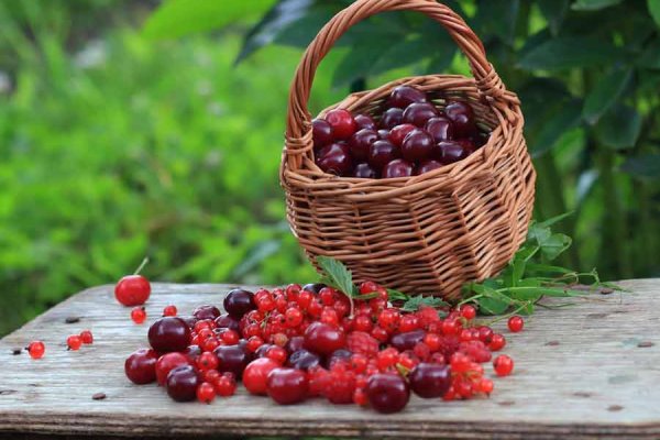 Кракен купить наркотики