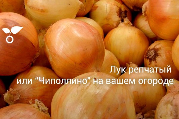 Ссылка на kraken at