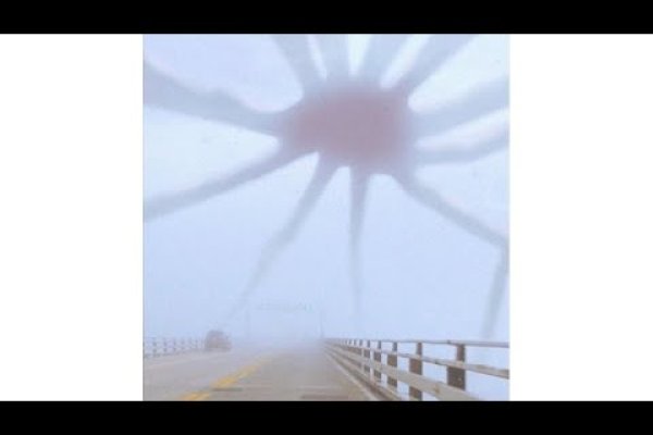 Solaris kraken