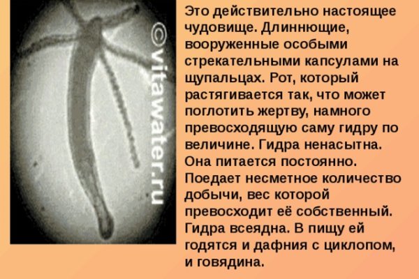 Как попасть на кракен с айфона