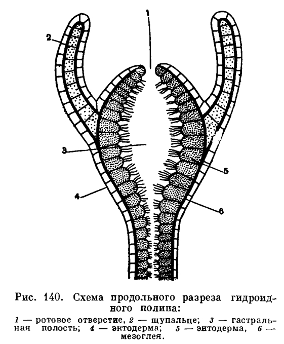 Кракен ссылка 2025