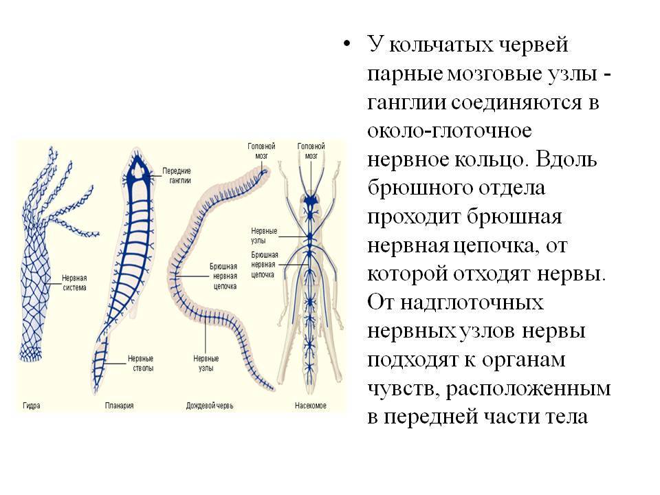 Кракен сайт что